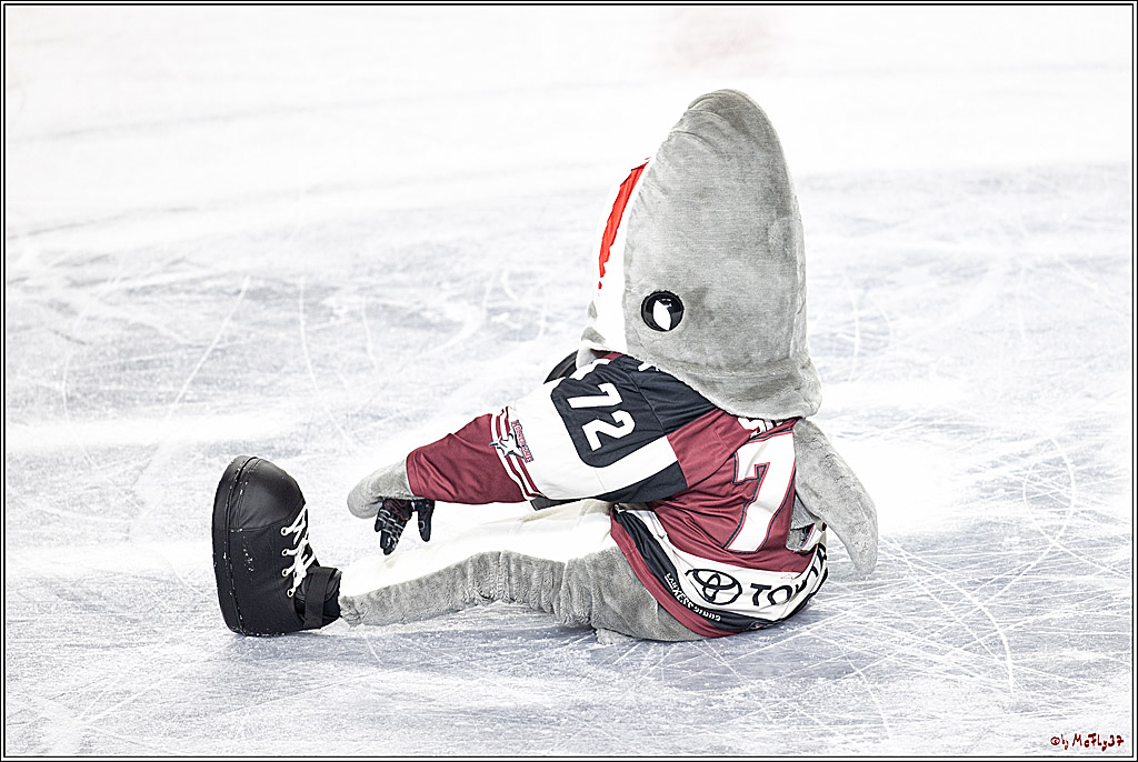 PENNY DEL;  Koelner Haie - EHC Red Bull Muenchen; Koeln, 31.03.2021